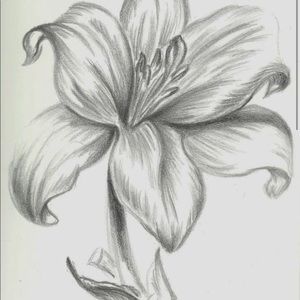 Meet your Posher, Halie